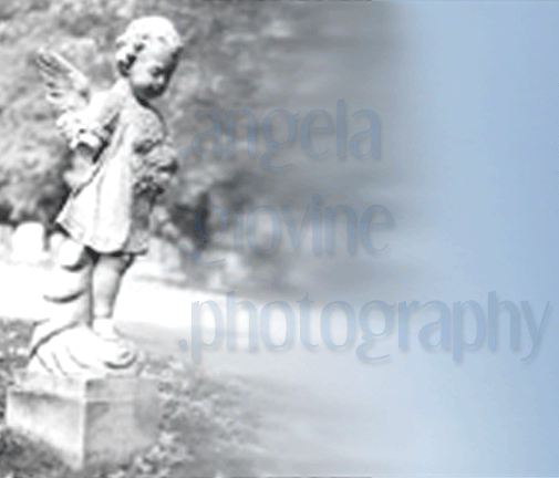 angea giovine photography